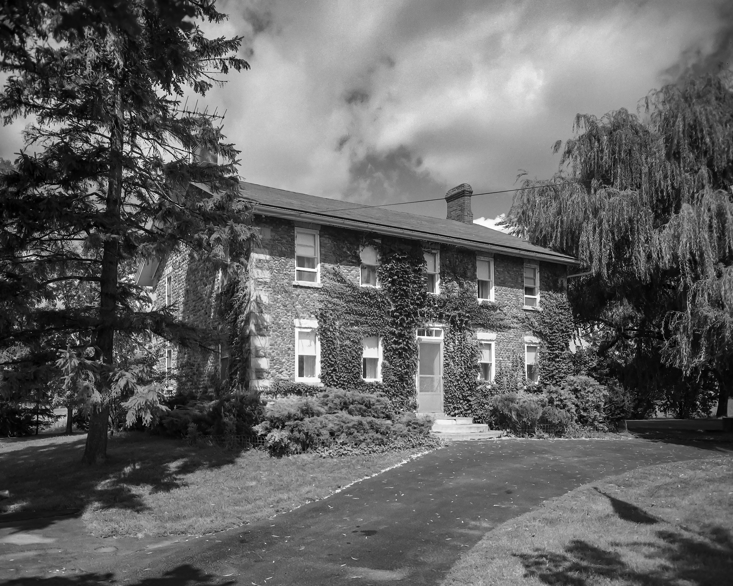 GP Livingston Lima Lim-2_1 N